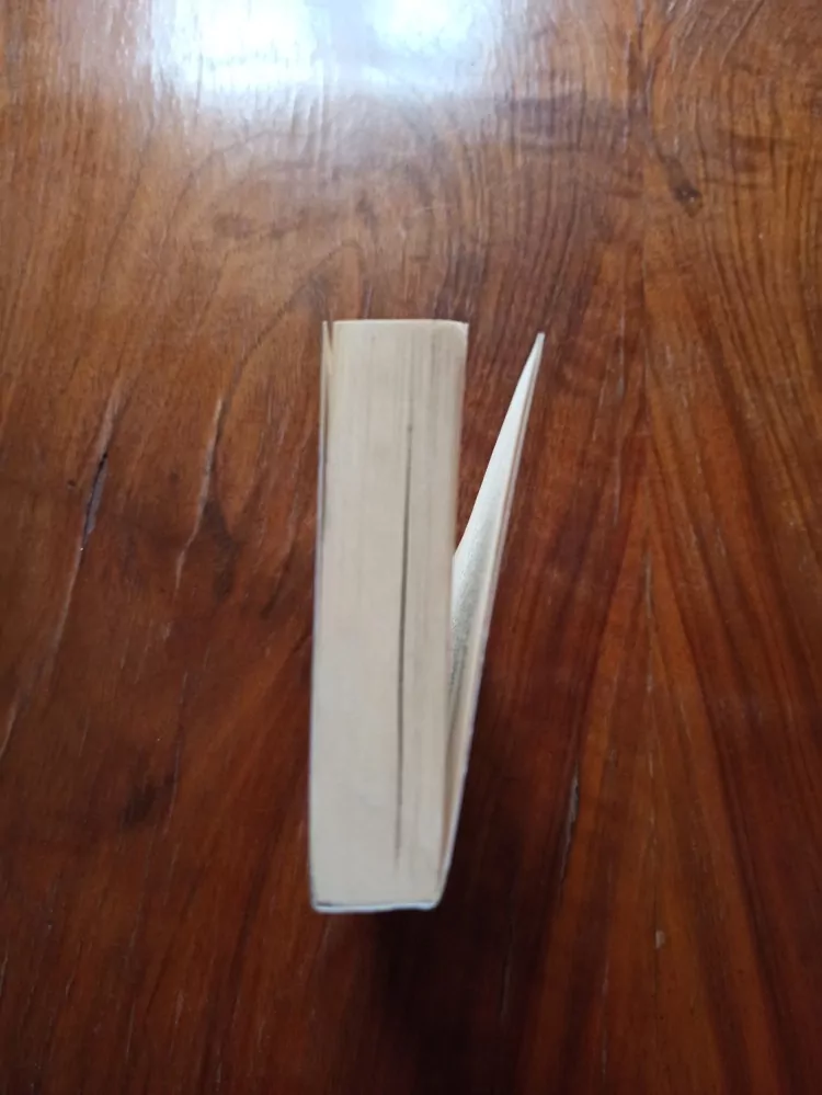 LENKA HNÍZDILOVÁ - Světlo stínů 2. díl - Světlo temnot