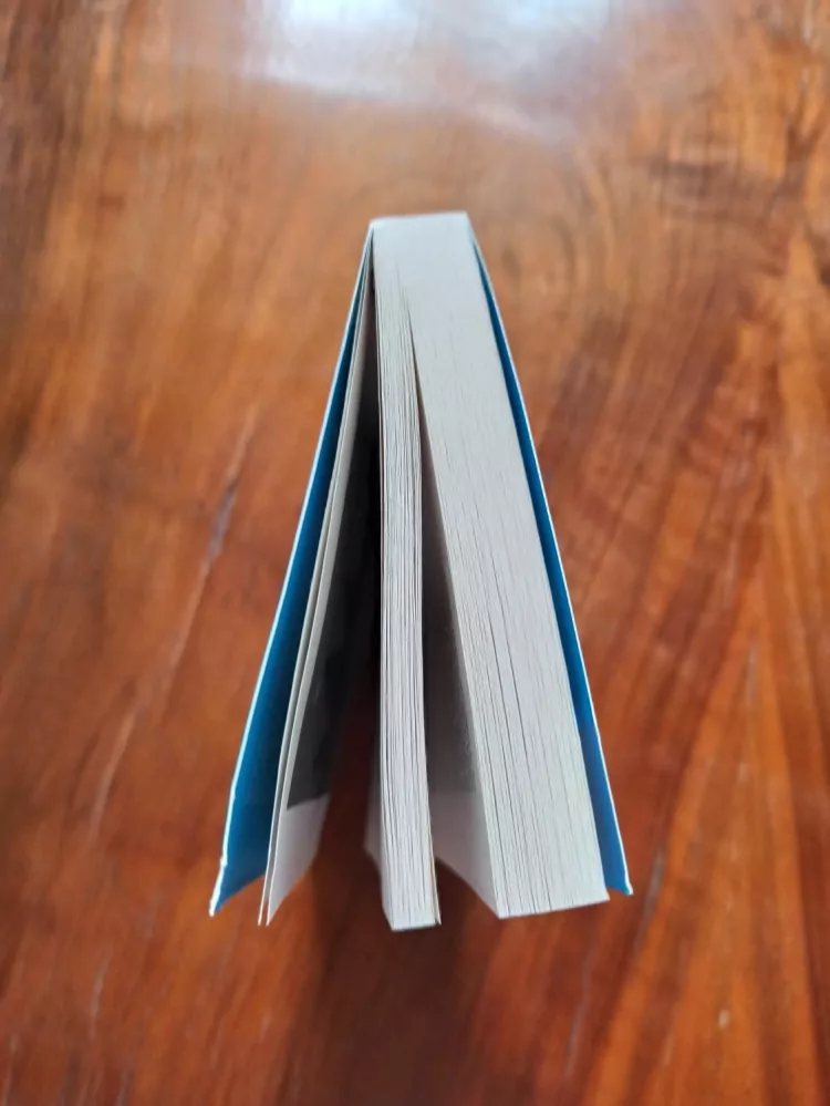 ÅSA LARSSON - Sluneční bouře