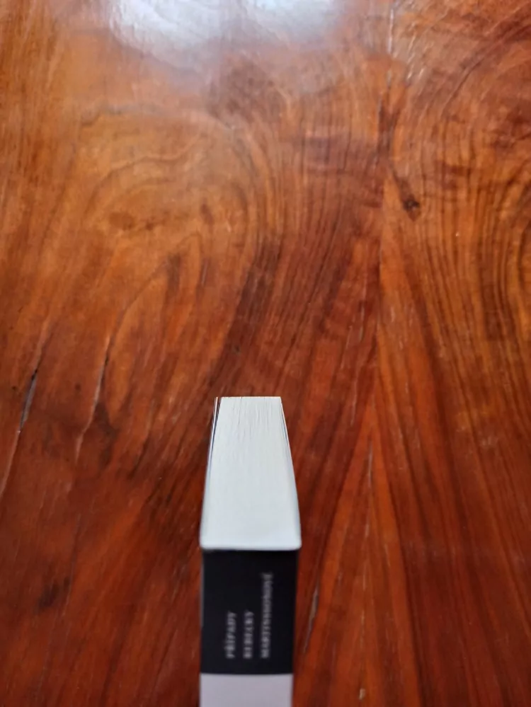 ÅSA LARSSON - Temná stezka