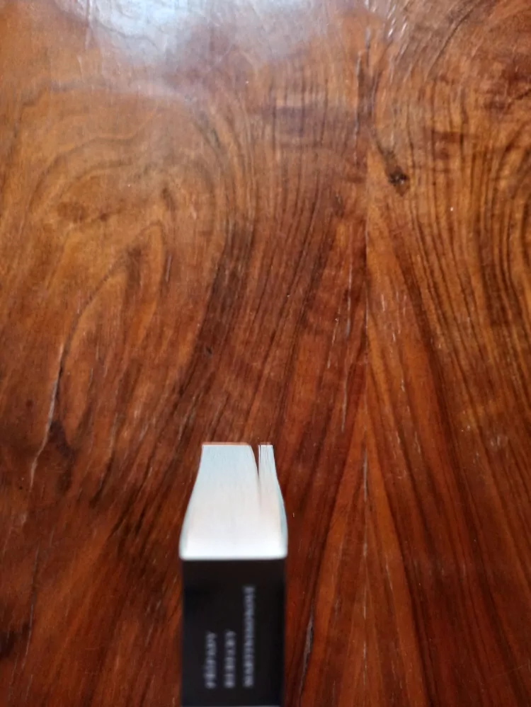 ÅSA LARSSON - Prolitá krev