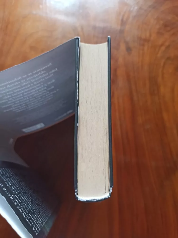 JOHN GRISHAM - Osamělý střelec