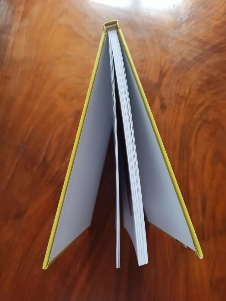 JAROSLAV JANOUCH - Čarovné housličky