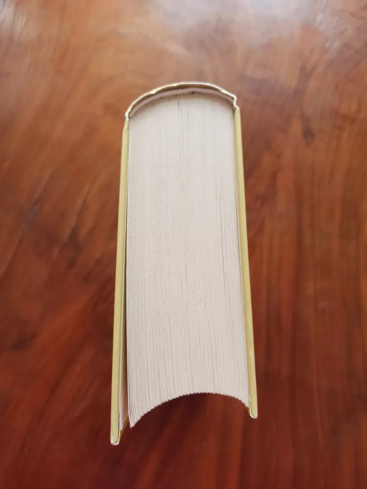 JACKIE COLLINS - Milenci a mstitelé
