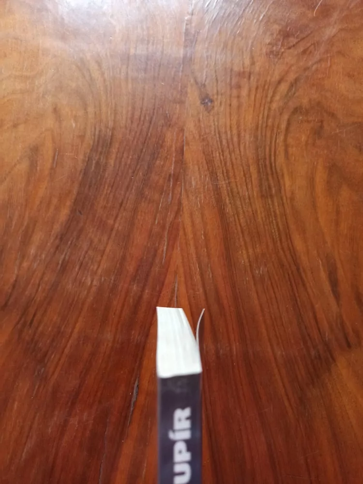 SUZY McKEE CHARNAS - Poslední upír