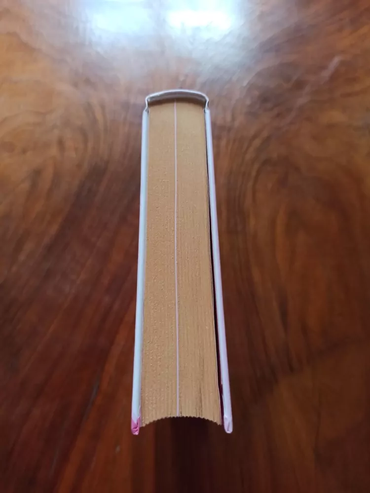 JAN MÍKA - Cukrárna