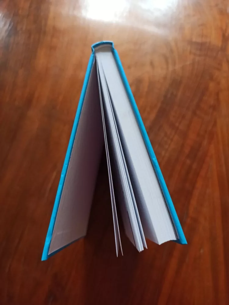 LEOŠ BÁRTA - Sami v moři konkurence