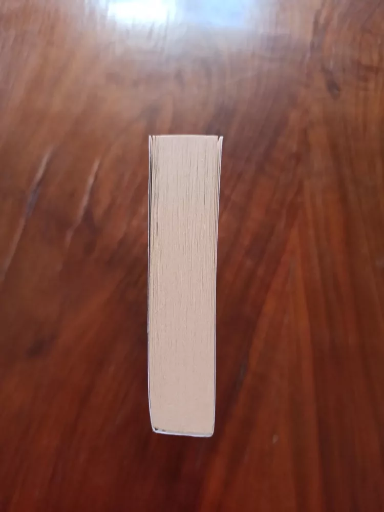 STEVEN BRUST - Jhereg