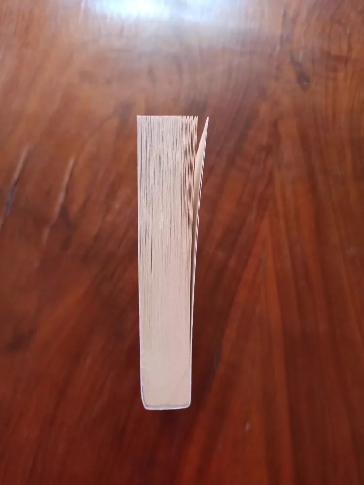 STEVEN BRUST - Yendi