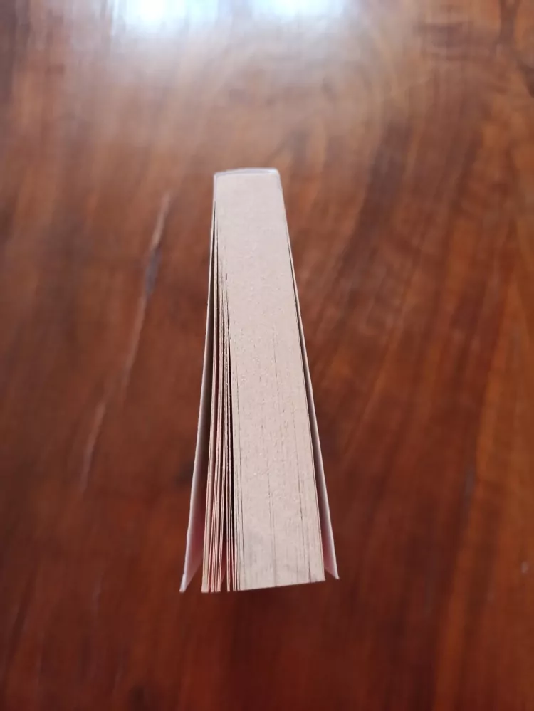 STEVEN BRUST - Teckla