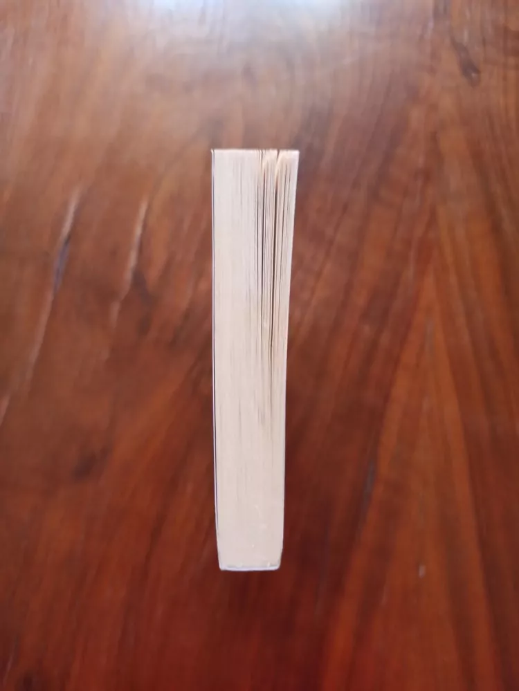 MICHAEL MOORCOCK - Kníže mečů