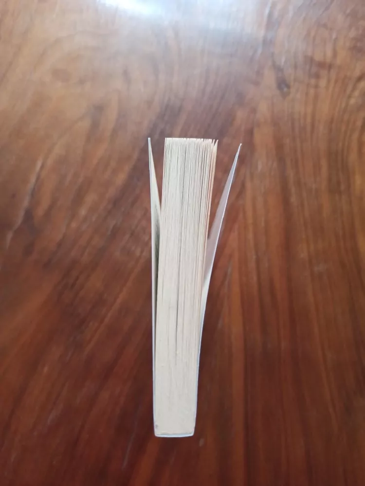 ANDRE NORTON, MARY H. SCHAUB - Exil - Svět čarodějnic 6.