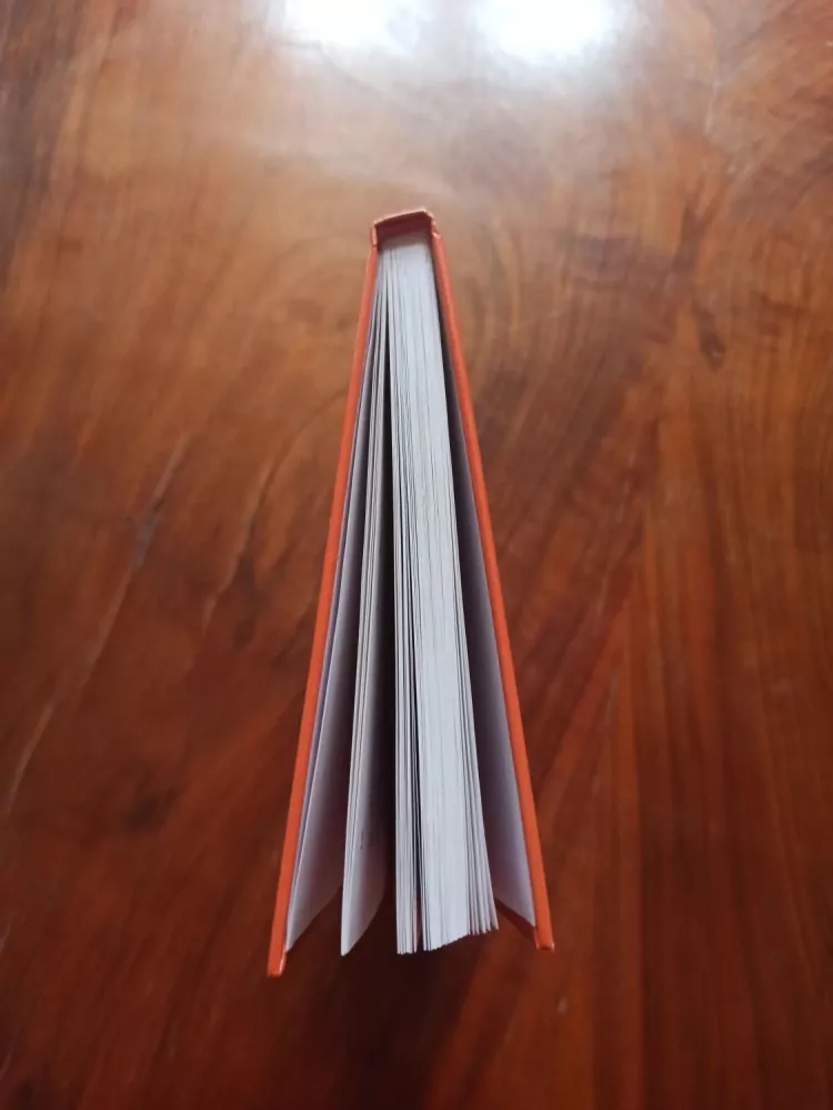 ANDRE NORTON - Stín nad světem čarodějnic - Svět čarodějnic 2.