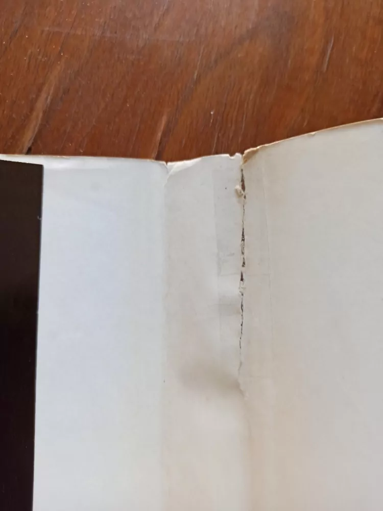 ALEXANDRE DUMAS - Hrabě Monte Cristo: Kniha druhá (díl 3 a 4)