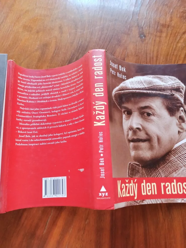 JOSEF BEK, PETR HOŘEC - Každý den radost