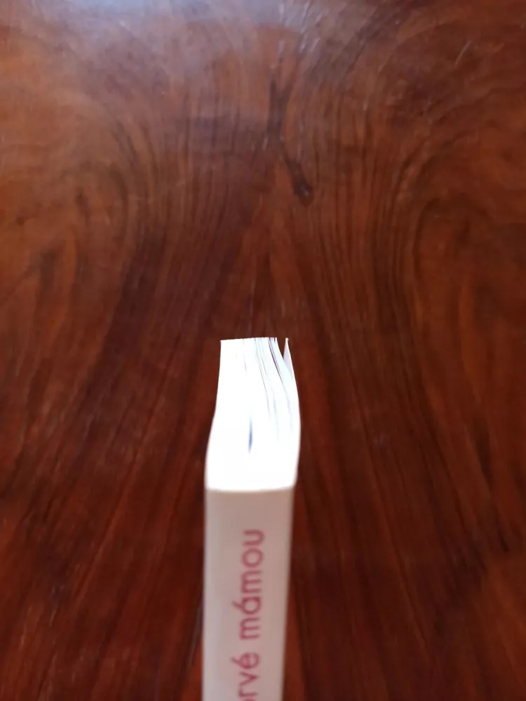 OLIVIA TOJA, DR. REGOTTAZ - Poprvé mámou - Základy péče o dítě