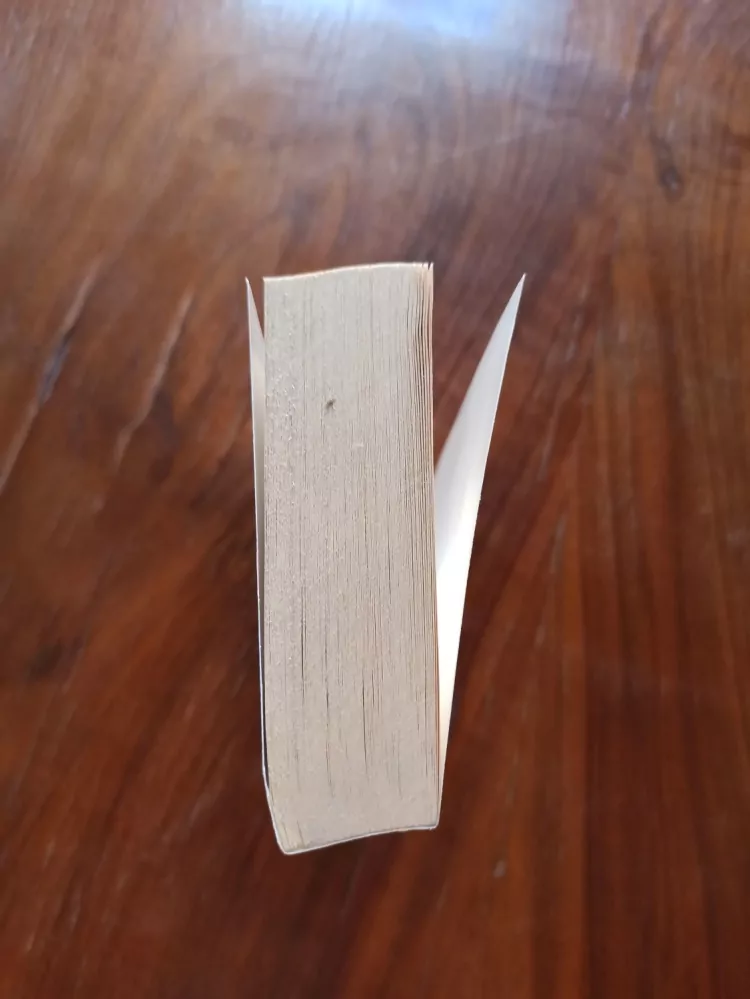 RICK SHELLEY - Útok na Buchanan