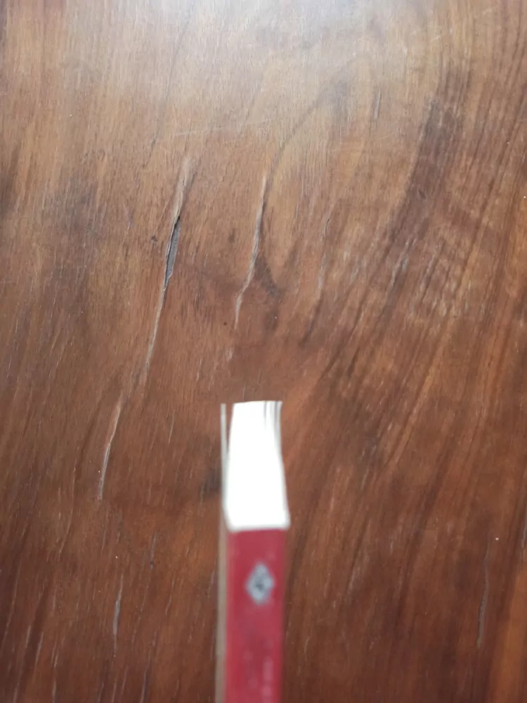 SHERI WHITEFEATHER - Statečný otec