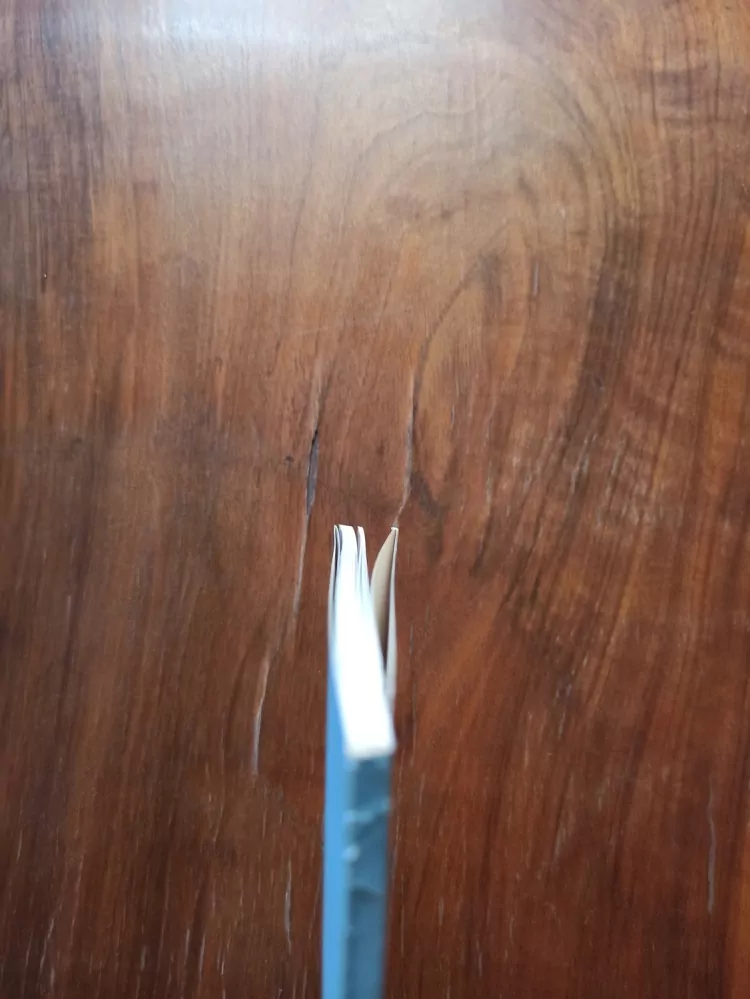 SLONOVINA XI-XIX STOLETÍ