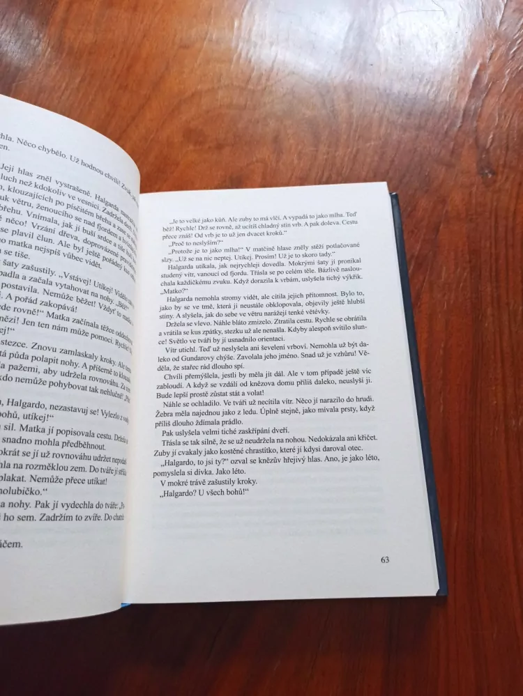 BERNHARD HENNEN - Zima elfů II.