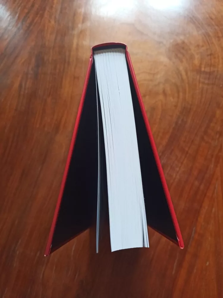 VLADIMÍR BIRGUS, PAVEL SCHEUFLER - Česká fotografie v datech 1839-2019