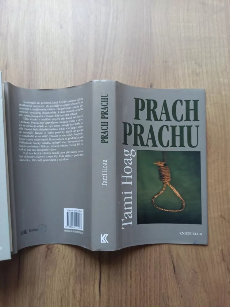 TAMI HOAG - Prach prachu