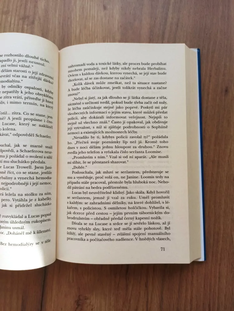 DIANE CHAMBERLAIN - Strom odvahy