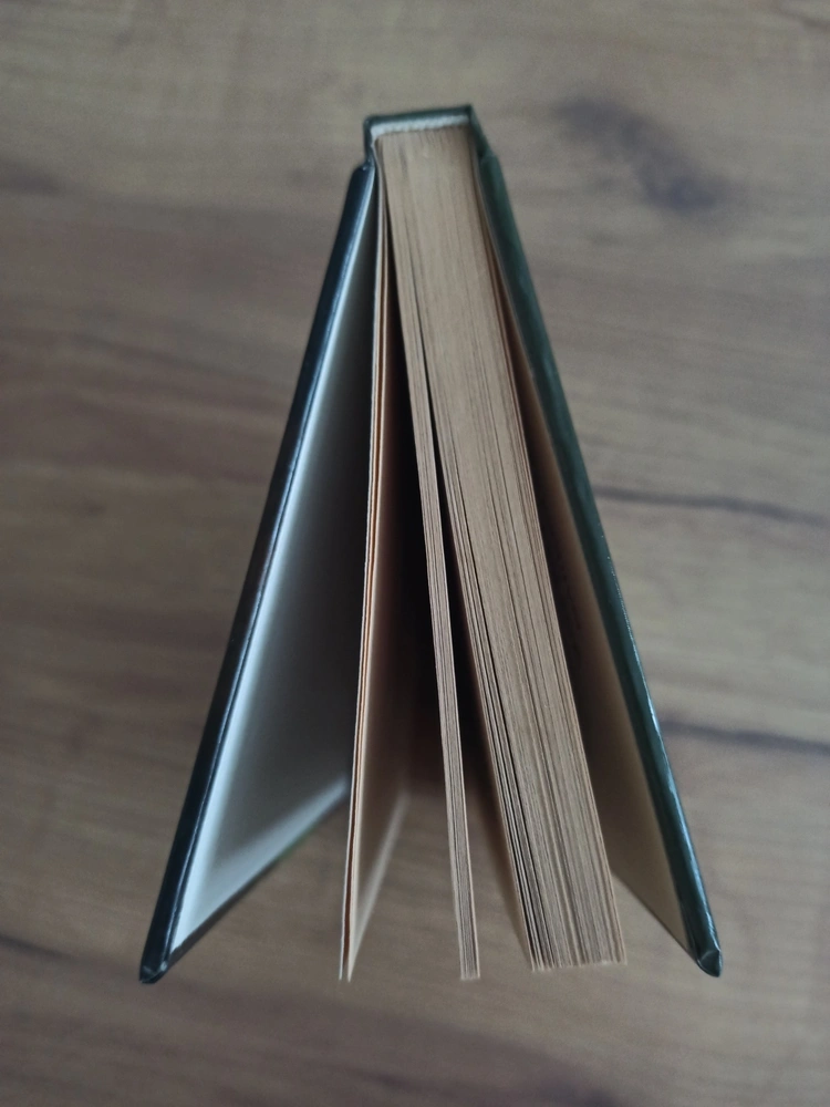 ERIC VAN LUSTBADER - Osamělý bojovník