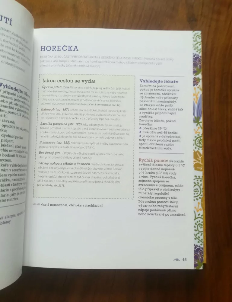 MARISKA VAN AALST, JAYNE TANCRED aj. - Přírodní medicína s posvěcením lékaře