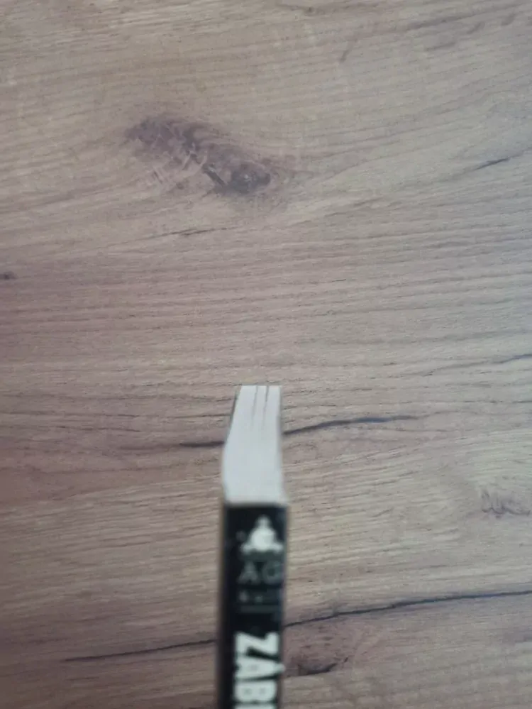 PIERS ANTHONY - Záblesk paměti