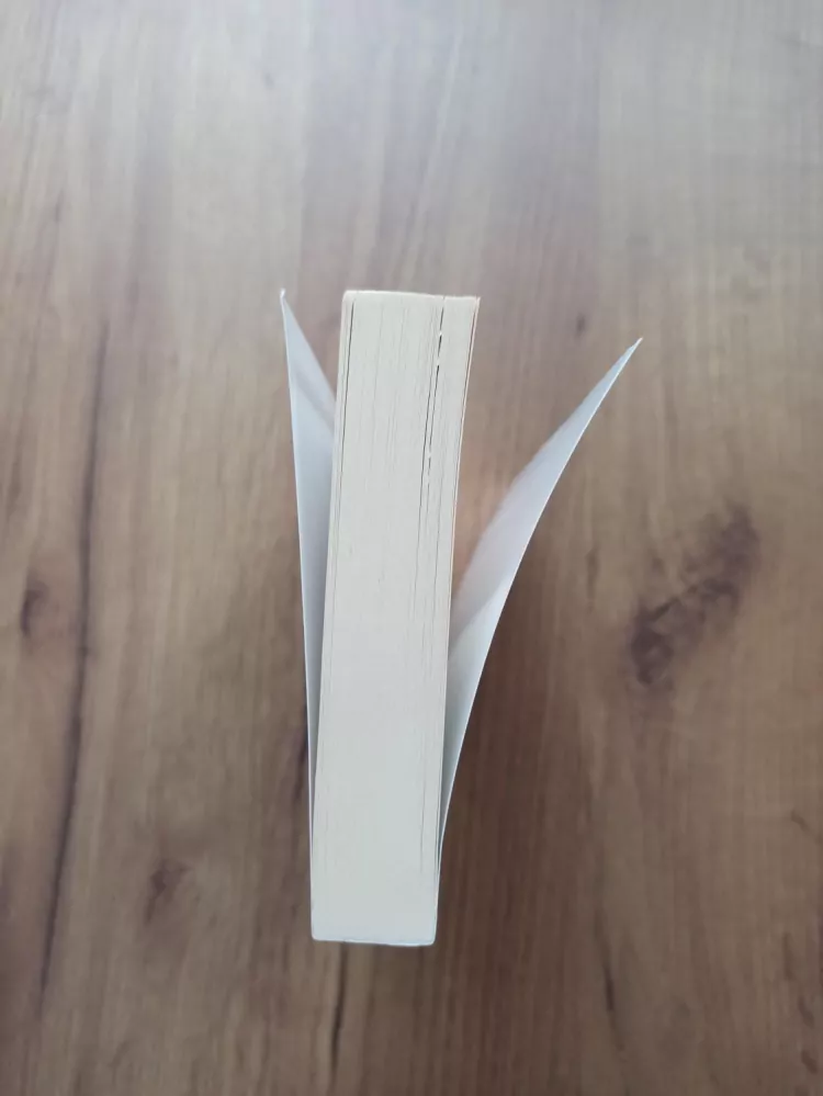 ROBERT BUETTNER - Sirotkův triumf