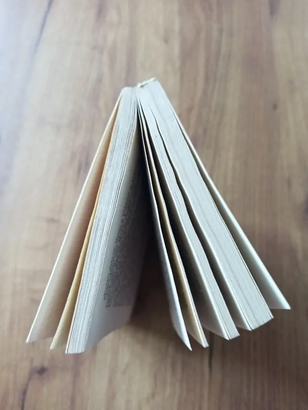 AGATHA CHRISTIE - 18 oříšků k rozlousknutí