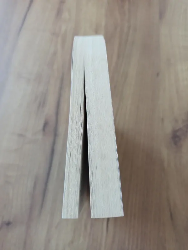 BARBARA CLEVERLY - Diův hrob