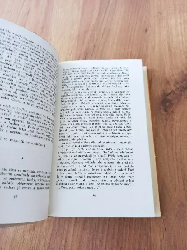 STEFAN ŽEROMSKI - Historie hříchu