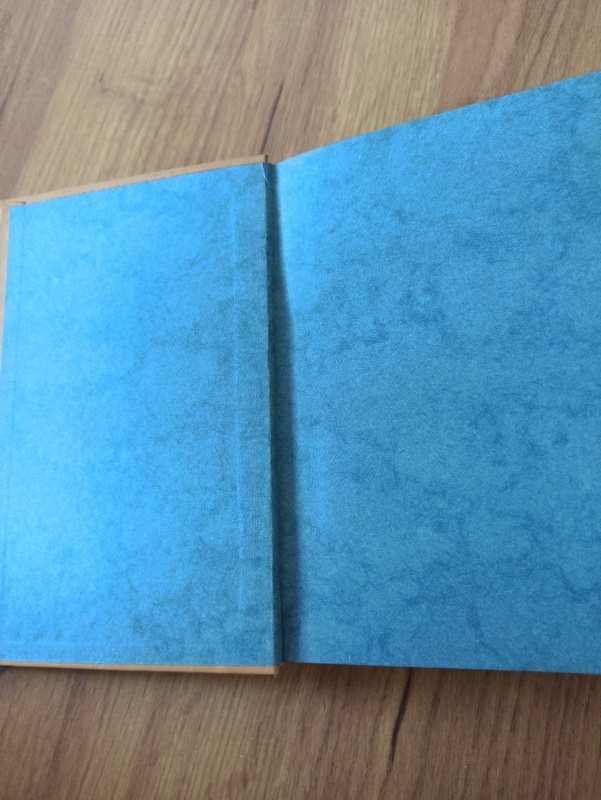 LEV NIKOLAJEVIČ TOLSTOJ - Vzkříšení I.