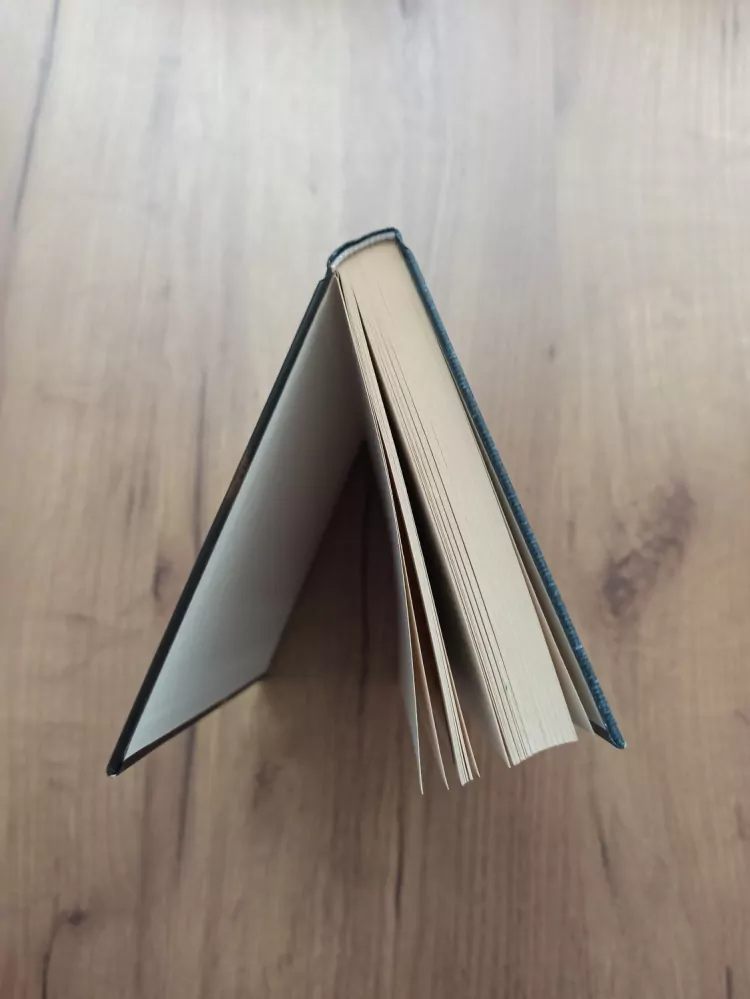 TESS GERRITSEN - Hra s ohněm