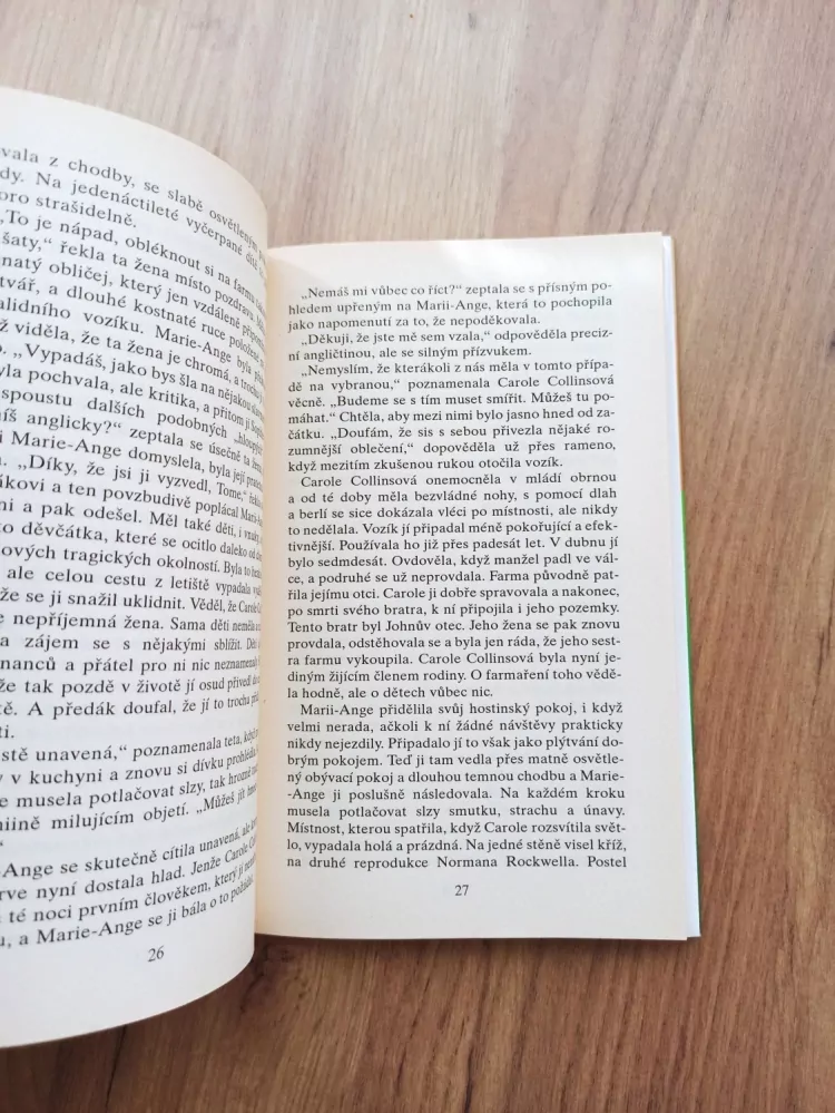 DANIELLE STEEL - Odvážné rozhodnutí
