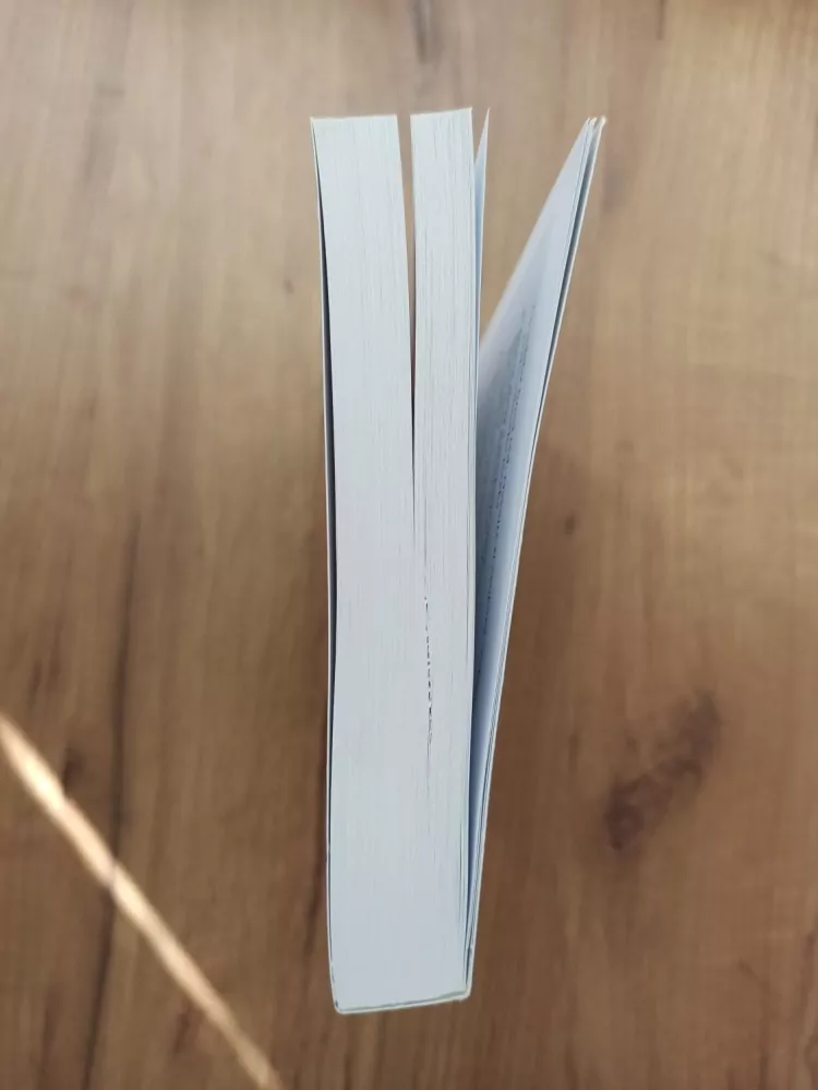 GABRIEL WYNER - Navždy plynule: Jak se rychle naučit cizí jazyk a nikdy ho nezapomenout