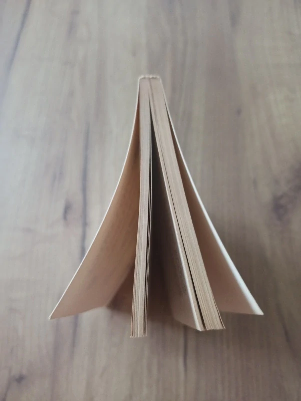 DAVID LODGE - Hostující profesoři