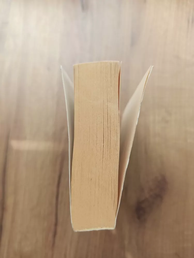 ANN MARSTON - Ostří exilu 1. - Stín Mrakonoše