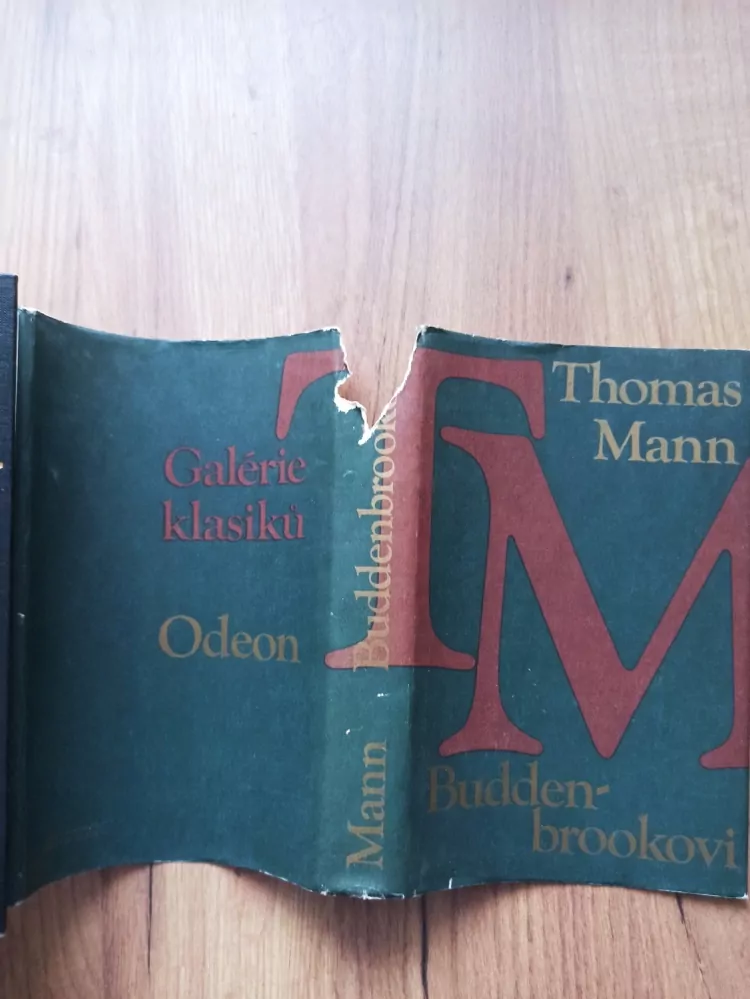 THOMAS MANN - Buddenbrookovi
