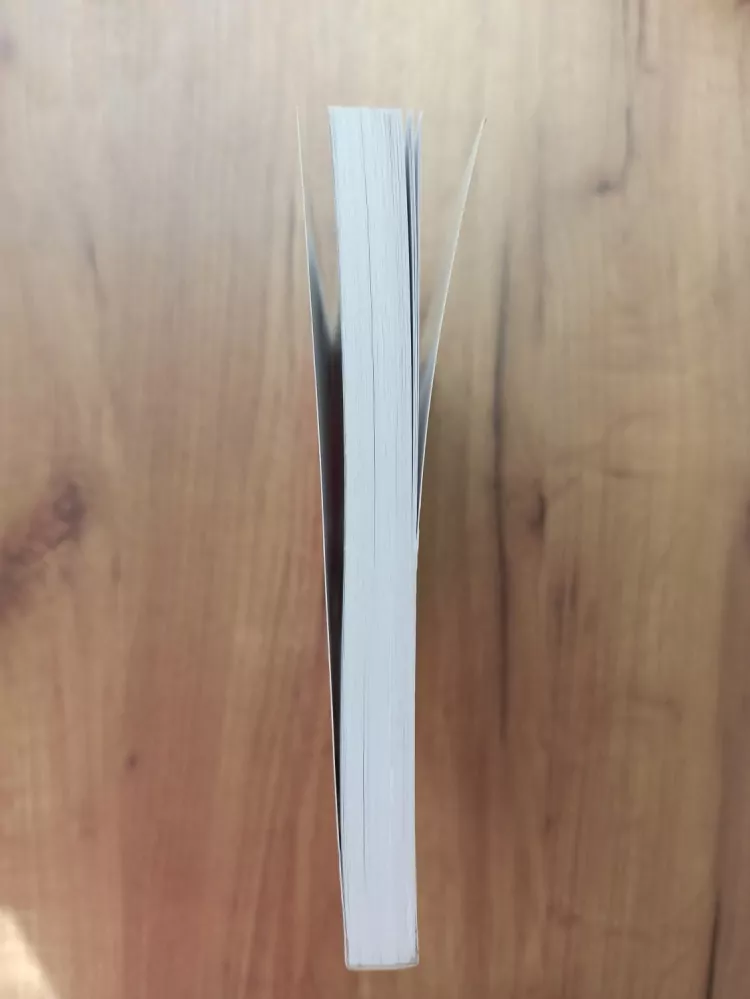 LUBOŠ KUDLÁČEK - WordPress - podrobný průvodce tvorbou a správou webů