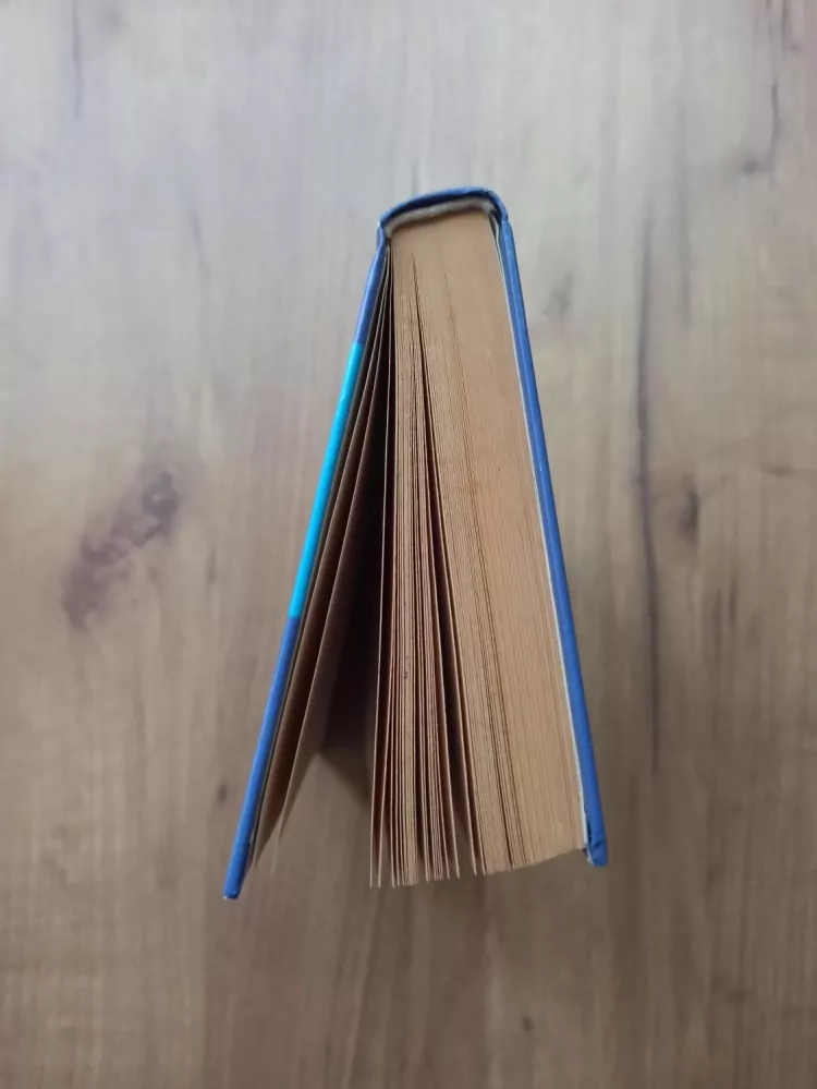 MARIE CORDONNIER - Zrazené polibky