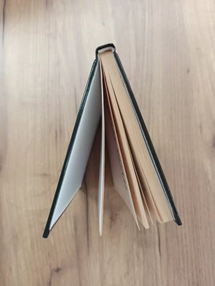 PHILIP ROTH - Milostné rozmluvy