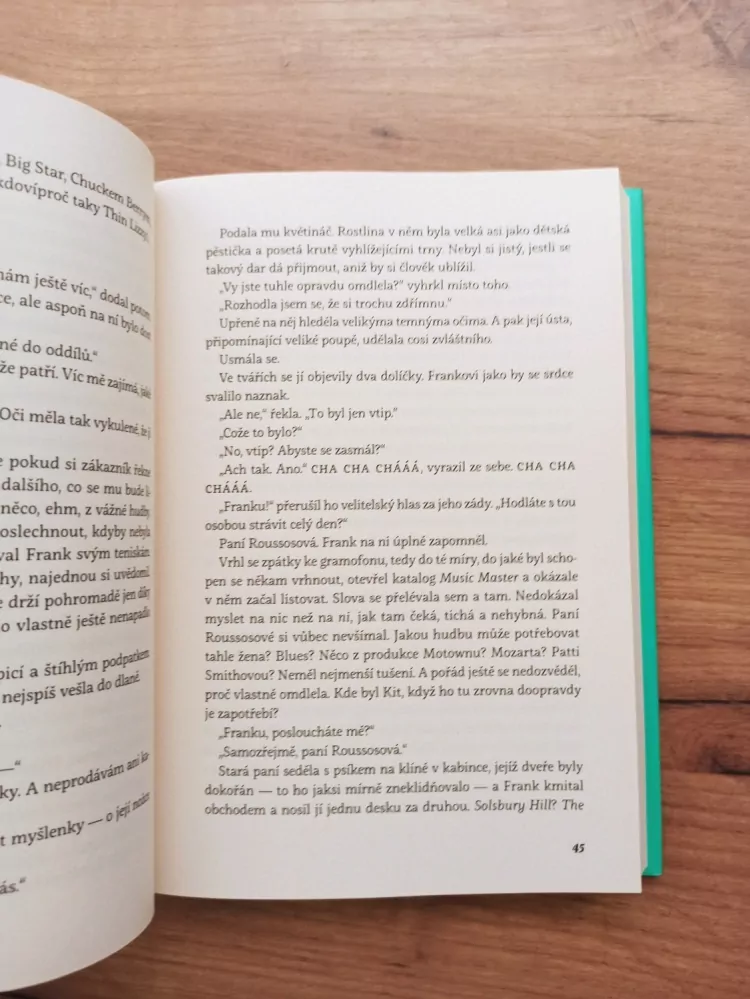 RACHEL JOYCE - Obchodník s hudbou