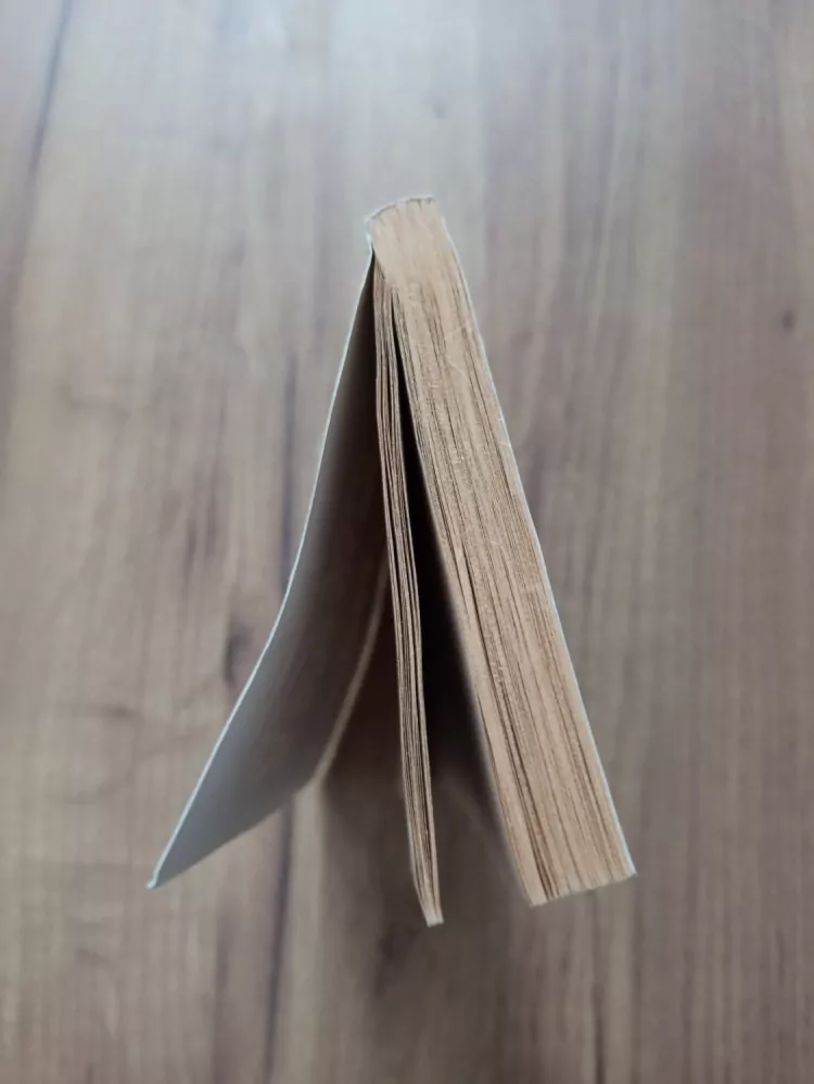 CHRISTOPHER PIKE - Pád do temnot - Stopy hrůzy (49.)