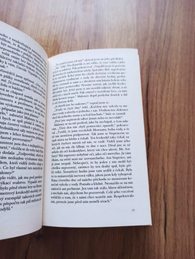 THOMAS THIEMEYER - Podzemní chrám