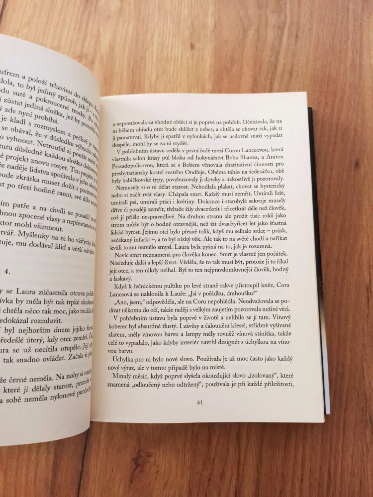 DEAN KOONTZ - Záblesk