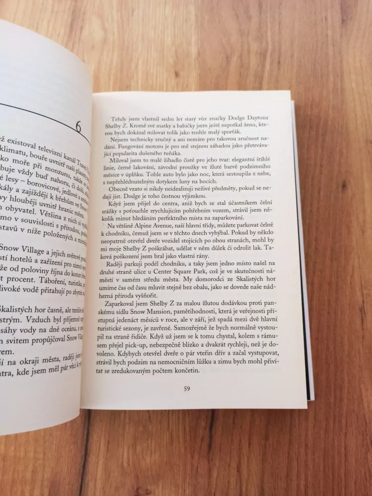 DEAN KOONTZ - Neobyčejné dědictví
