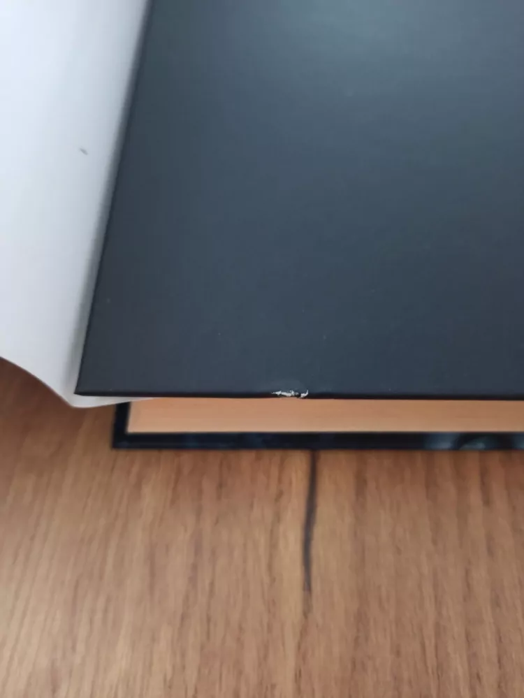 DEAN KOONTZ - Bratr Thomas