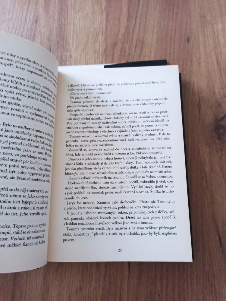 DEAN KOONTZ - Tikot